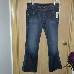 NWT Hudson's Petite Bootcut Jeans